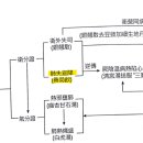 영수탕 네이버블로그