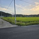 솔라공인중개사사무소 이미지