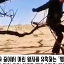 빌리진 네이버블로그