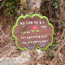 등대길26 이미지