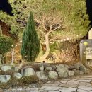 새원1길 4 (1) | [어라운드] 화순맛집 연말모임레스토랑 추천 INFP 내향인 커플 데이트 솔직 후기 🤎〰️