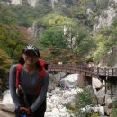 폭포약수 이미지