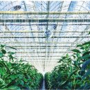 태곡농장 이미지