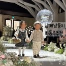 아기 하객룩 화동옷, 당일 준비물 총정리!