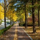 인재개발원 대운동장 이미지