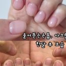 뷰티릿 네이버블로그