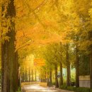 디오대구경북영업소 | [대구맞춤양복 추천] 메종수테일러 디자이너 맞춤 겨울코트 여성맞춤