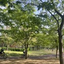 태화한의원 이미지