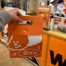 월드씨앗건강 | 5월 잠실 롯데월드몰 팝업 샌디버터 과일산도 떼구르르 니드스윗 끄네들로 별다꾸마켓 슈가스컬 와하하...