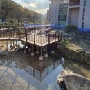 청주랜드관리사업소(동물원) 이미지