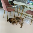 아이조아 요양보호소 서울점 이미지