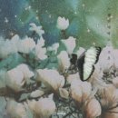 이슬 세탁소 이미지