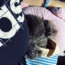 헬로똘복 - 성남시 분당구 미금로 251 | 헬로똘복