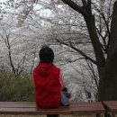 봉황산공원 이미지