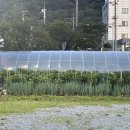 신화숯불가든식당 이미지