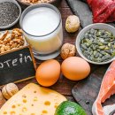 샾 피티 이미지