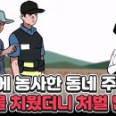 남의 땅에 심은 과일나무, 법적 소유권은 누구? | 법 읽어드립니다! 이미지