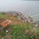 대청밧데리 이미지