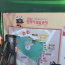 더예쁨김천점 | 김천 연화지 벚꽃 만개 실시간, 벚꽃축제 첫날 방문 후기