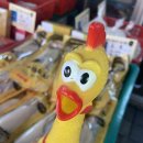 김천닭집