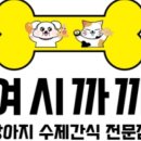 여시까까 이미지