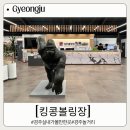 킹콩스크린 | 경주 실내 가볼만한곳 아이랑 함께하기 좋은 킹콩볼링장 이용 후기