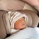 트리니티산후조리원(삼성점) | [트리니티 산후조리원 삼성점] 프리미엄 룸 가격/시설 - 내돈내산 후기