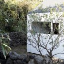 벵디1967 이미지