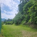 충주파쓰리골프클럽 | 2024.05.11. 충주파쓰리클럽