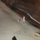 조선뽑기방 | [부산/해운대] 웨스틴조선 부산 이그제큐티브 비치 패밀리 오션뷰 후기 (클럽 라운지 이용, 본보이 특별...