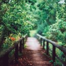 자연과사람들 이미지