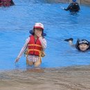 하이브로우 | 4월의 파라다이스도고 캐빈파크 하이브로우 다녀온 후기