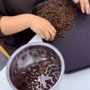 제이이유바리스타학원 | 기흥바리스타학원에서 SCA자격증 준비해본 후기