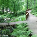 초원숲속가든 이미지