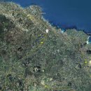 세화부동산 공인중개사사무소 이미지