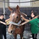 해운초등학교 이미지