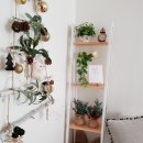 하이리조텔 이미지