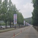 CU 동선대로점 | 비오는날 에버랜드 5세 3세 아기랑 솔직후기 (키 제한, 대여, 팁)