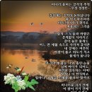 강가의 추억 이미지