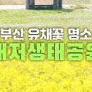대저생태공원캠핑장 이미지