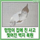 멍멍이가 있는 집 | 멍멍이가 집에 친 사고 찢어진 벽지 복원