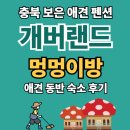 보은농장 | 충북 보은 개버랜드 펜션 후기: 애견 동반 숙소 (반려견 주변 볼거리, 인근 먹거리)