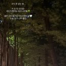 김지영
