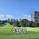 작은산대 | 수원CC 1부 라운딩 후기- 올드 구코스, 아침식사, 반바지