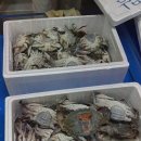 송도상회 이미지