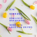 나태주 시(꽃그늘) 이미지