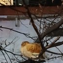 용두천로44길 이미지