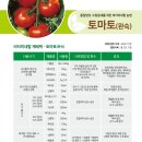 토마토비타