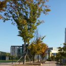 운정체육공원 축구장 이미지