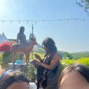 빨간지붕연천 이미지